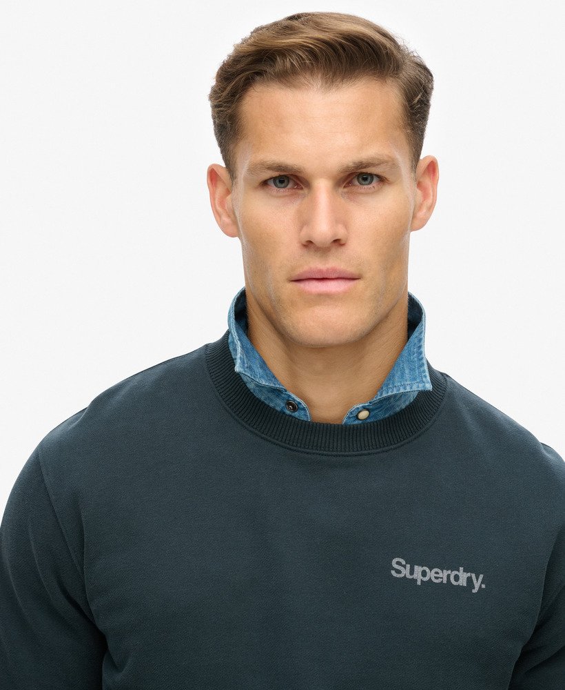 core logo city loose crew sweatshirt in blueberry