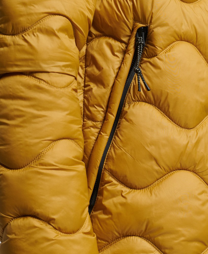 lichtgewicht gewatteerde jas met capuchon in ukon gold