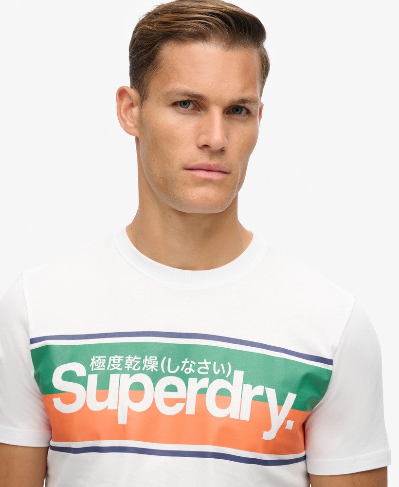 core logo stripe t-shirt in optic